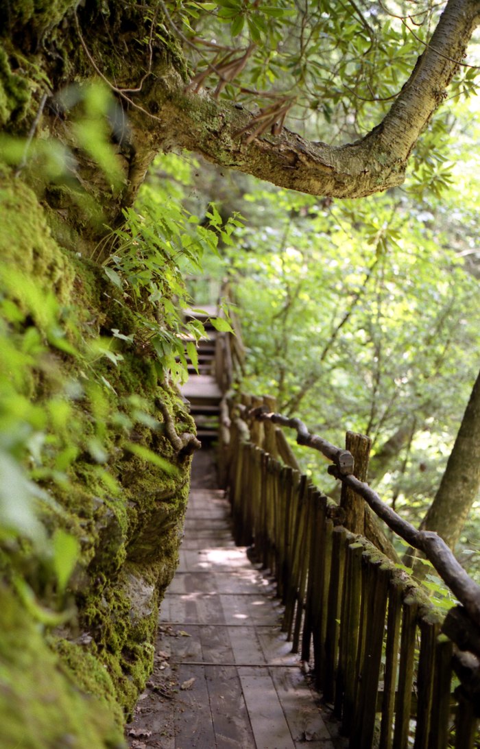 11 Fantastic Rail Trails in Pennsylvania that Anyone Can Enjoy - Uncovering  PA