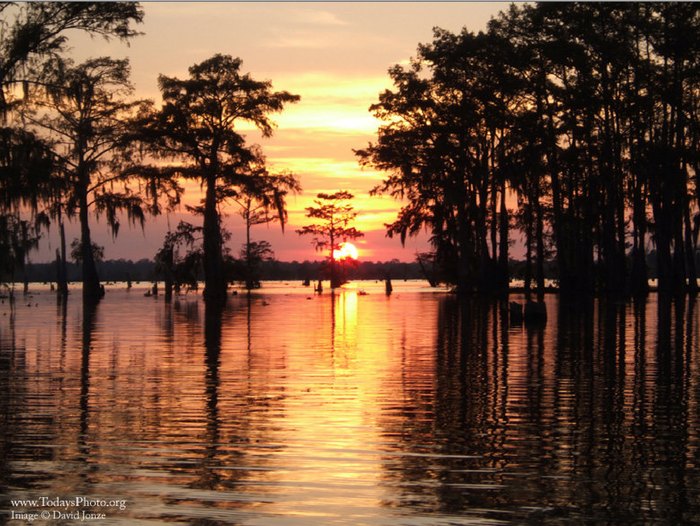 The 7 Most Beautiful Places in Louisiana