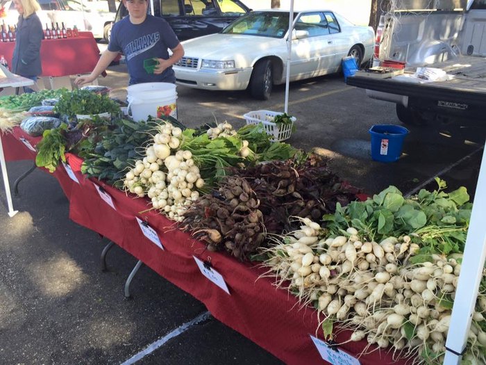 The 10 Best Farmers Markets in Louisiana