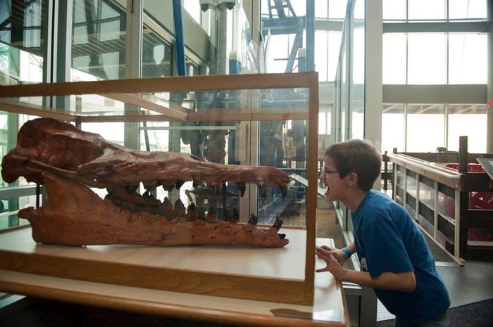 science field trips louisiana