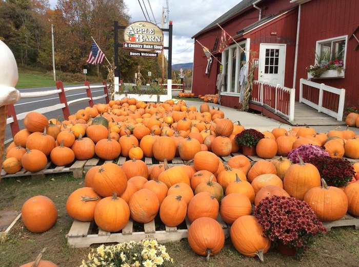 15 Places In Vermont Where You Can Get The Best Pie