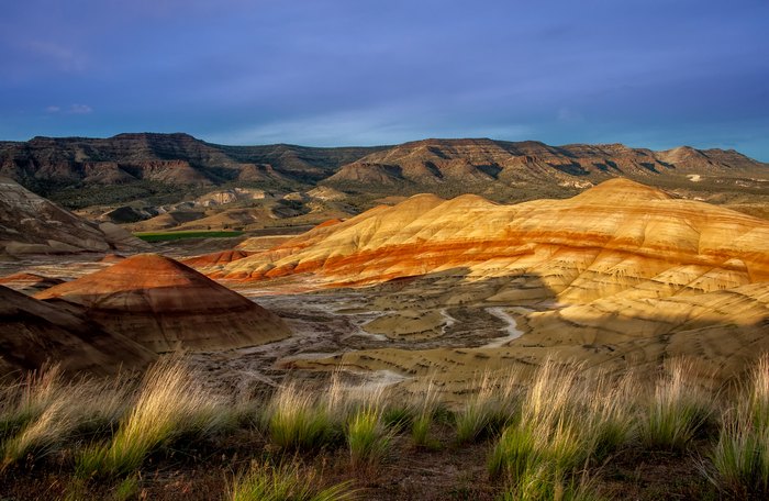 are dogs allowed at painted hills oregon