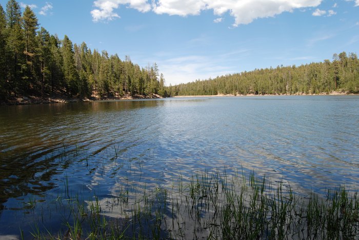 Lakes in Arizona: 13 To Visit This Summer