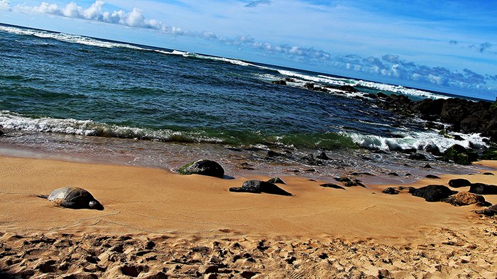 Places Everyone Must Visit Along Oahu S North Shore