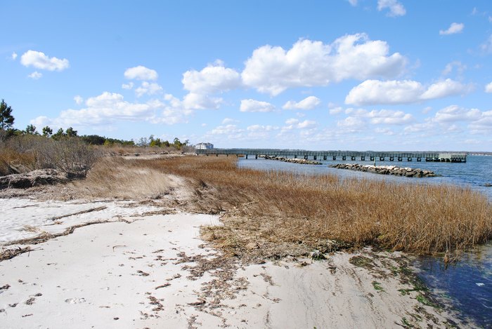 Holts Landing State Park