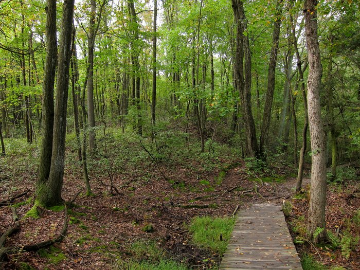 Hiking Cheesequake State Park In New Jersey