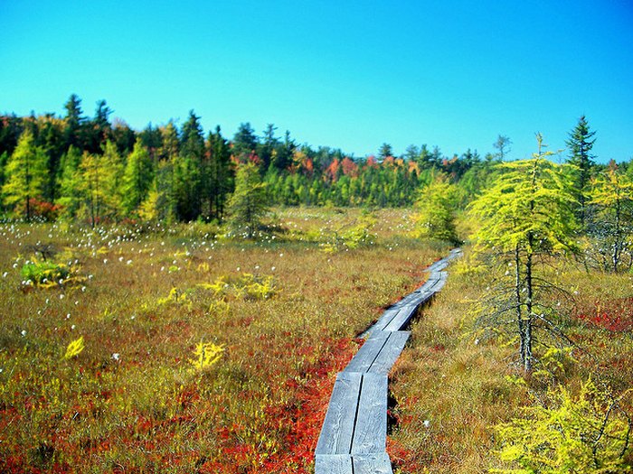 9 Boardwalks In New Hampshire To Visit This Summer