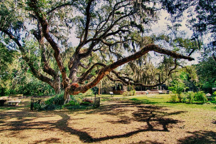 Florida's Bongoland and the Dunlawton Sugar Mill Gardens