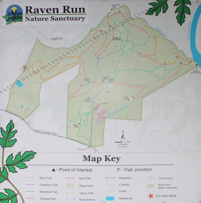 Tellest Cartography - Ravane