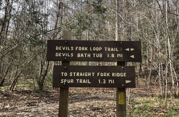 Devils Den Nature Preserve Trail: 184 Reviews, Map - Virginia