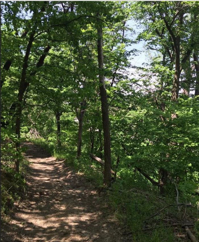 Uncover Nebraska's Hidden Gem: Indian Cave State Park