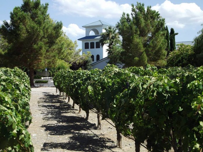 Nevada wineries and vineyards