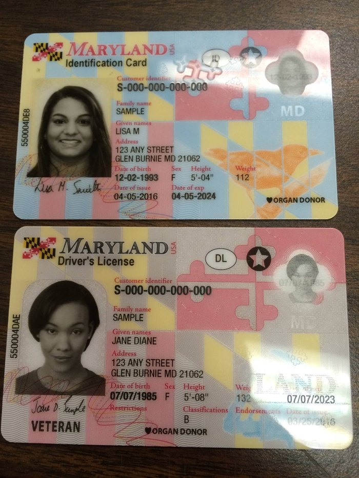 Real Maryland Id Card