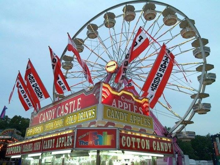 7 Of The Greatest County Fairs In Virginia