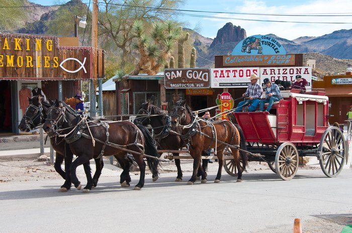 10 Fantastic Things To Know About Oatman Arizona