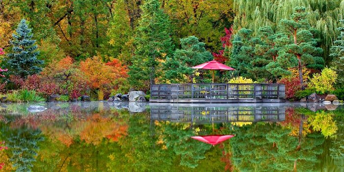 The Best Japanese Gardens Are Right Here In Illinois