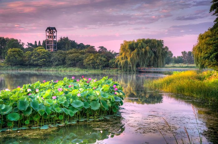 Discover Scenic Beauty: Top 20 Day Trips from Chicago - Springfield, Illinois