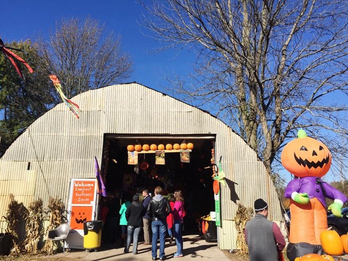 Here Are The 8 Best Pumpkin Patches In Michigan
