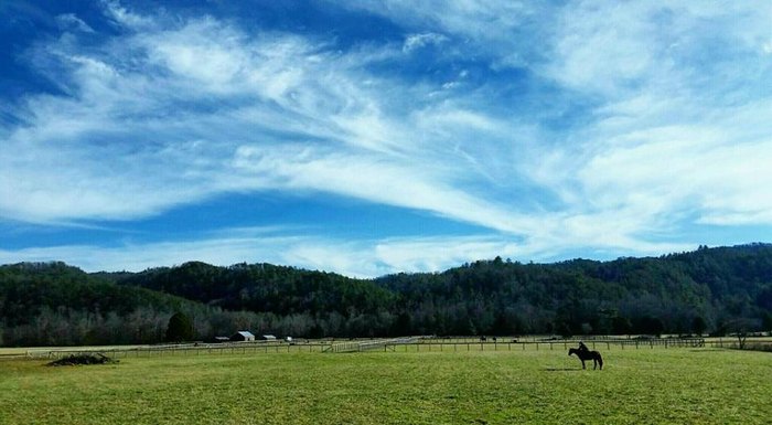 best foodie towns in tennessee mountains best foodie towns in tennessee mountains