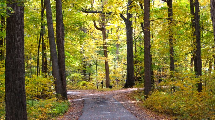 Here Are Some Of The Easiest And Best Hikes In Michigan