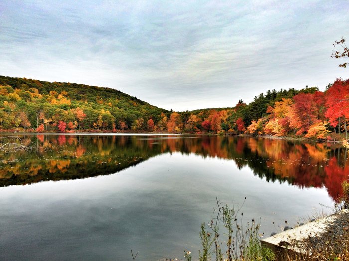 Embark Upon This Gorgeous Fall Foliage Road Trip In Connecticut