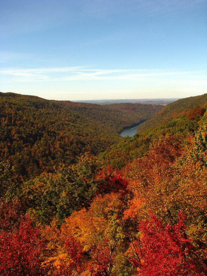 Take This FunFilled Fall Foliage Road Trip In West Virginia
