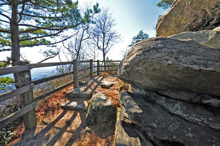 10 Easy Hikes In North Carolina That You'll Want To Try