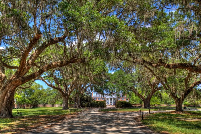 plantation tours columbia sc