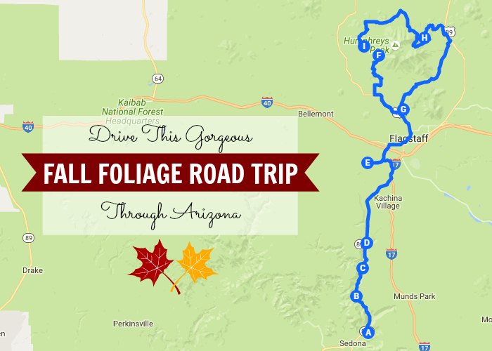 Embark Upon This Fall Foliage In Arizona Road Trip