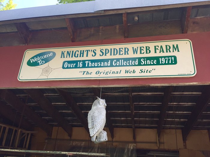 Order Your Unique Spider Web Plaques from Knight's Spider Web Farm