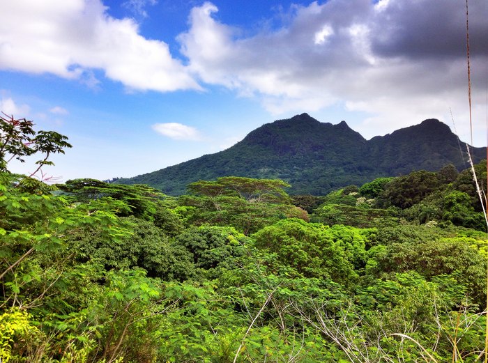 Hiking Hawaii's Breathtaking Maunawili Falls