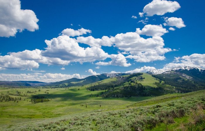 The American Serengeti Is Right Here In Wyoming