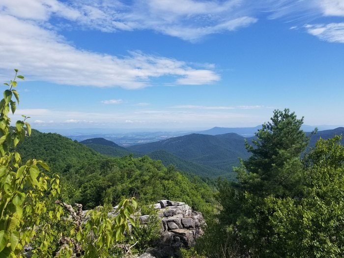 11 Easy Hikes In Virginia Everyone In Your Family Will Love