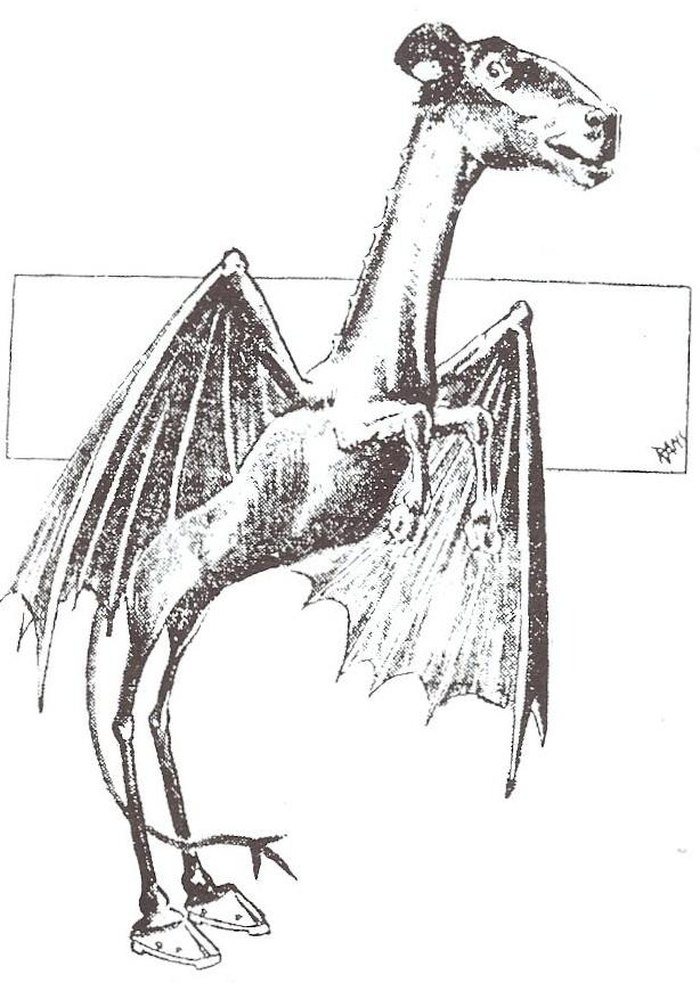 The Jersey Devil and Folklore - Protecting the New Jersey Pinelands and  Pine Barrens