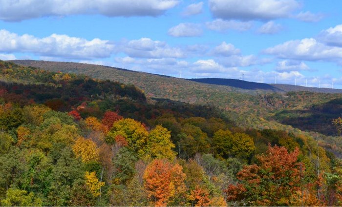 Check Out The Best Fall Foliage Train Ride In Maryland