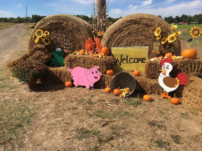 9 Arkansas Corn Mazes To Get Lost In This Fall