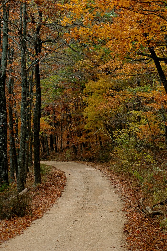 Here Are 10 Scenic Drives To Take In the Fall In Arkansas