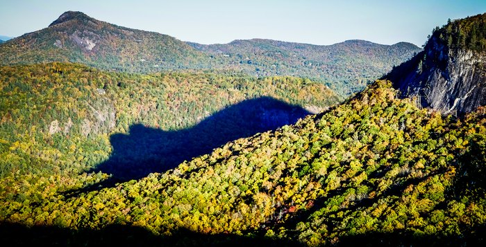 Witness The Mysterious Sahdow of the Bear in North Carolina Before It's ...