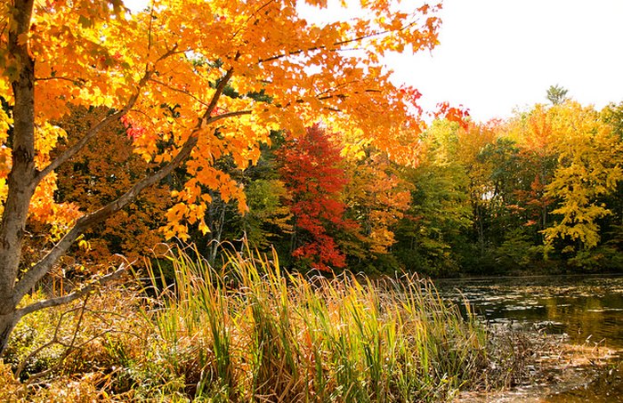 The Fall Foliage At These 9 State Parks In Maine Is Stunningly Beautiful