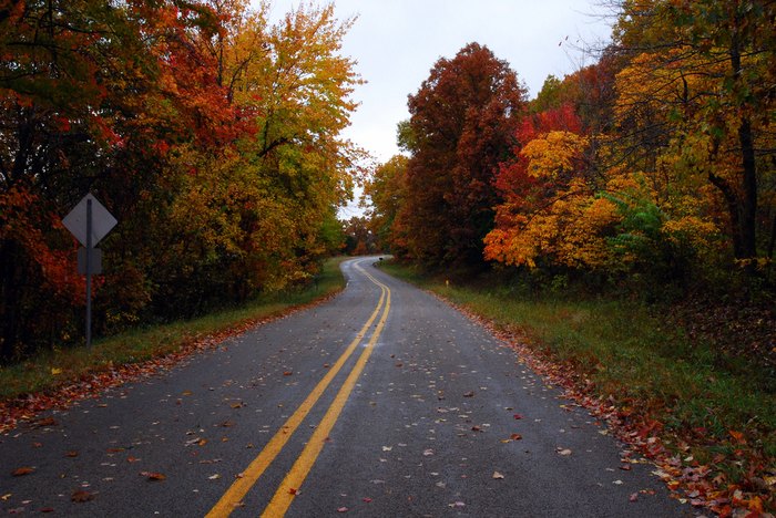 Here Are 10 Scenic Drives To Take In the Fall In Arkansas