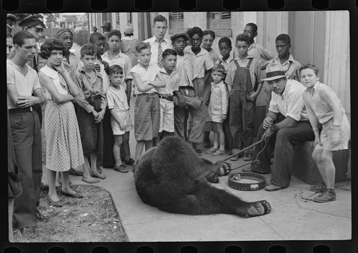 12 Rare Vintage Photos From New Orleans
