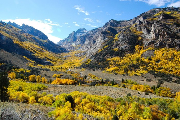 Lamoille Canyon