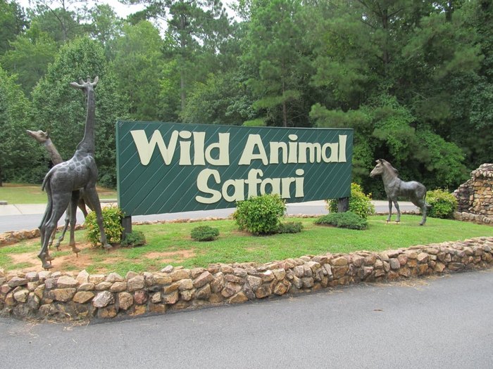 Spend The Day Visiting This Animal Safari Park In Georgia