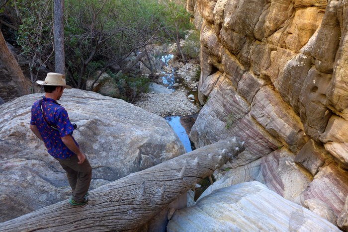 Pine Creek Canyon Trail