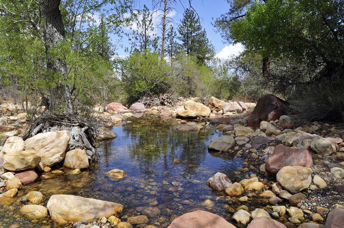 Pine Creek Canyon Trail