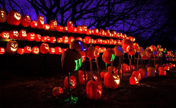 Rise of the Jack O Lanterns Is Coming To New Jersey