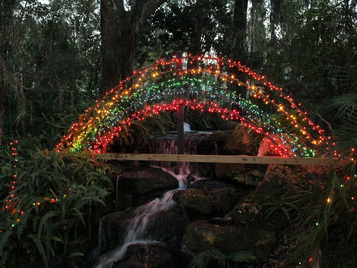 Enjoy The Best Christmas Lights In Florida On This Road Trip