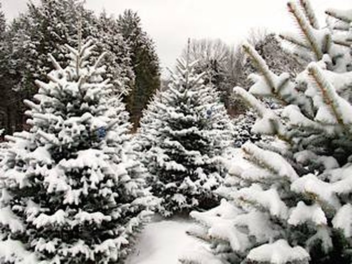 10 Best Christmas Towns In Missouri 2016