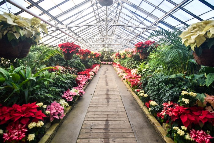 Hidden Gems Rockefeller Park Greenhouse