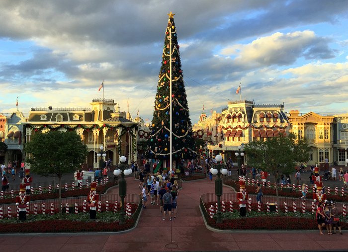 12 Things Everyone Should Do For Christmas In Florida